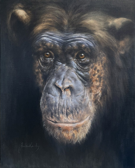 Jules Kesby, wildlife artist, chimp, oil on canvas
